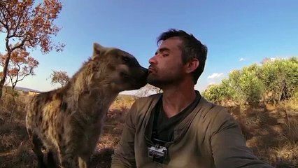 Tenta di abbracciare un leone, quello che succede dopo è scioccante