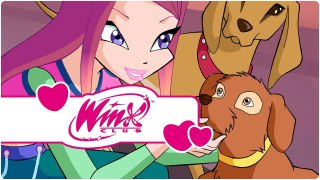 Winx Club - Serie 4 Episodio 3 - L'ultima fata della terra