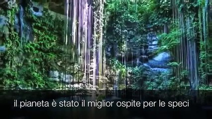 Un video di 4 minuti che vi cambierà la vita