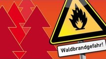 FEUERWEHR - Der GRÖSSTE WALDBRAND [DOKUMENTATION] [HD] [REPORTAGE] 2015