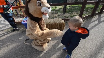 Toddler shows "lion" who's the boss