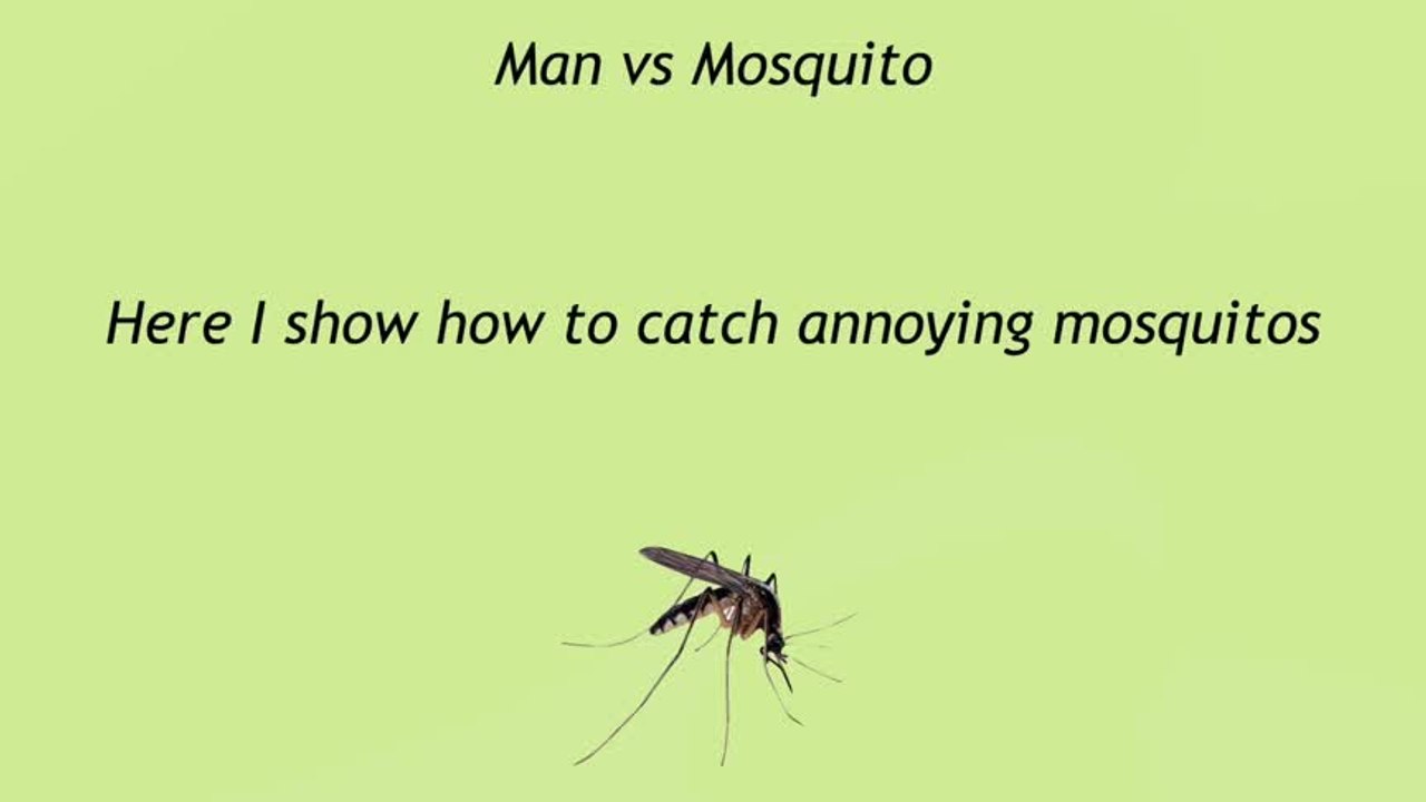 MAN VS MOSQUITO