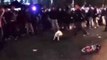 Bull Terrier Shows Off His Dance Moves at a Rave
