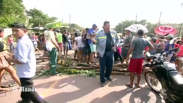 Des milliers de vaches échouées sur des plages du Brésil
