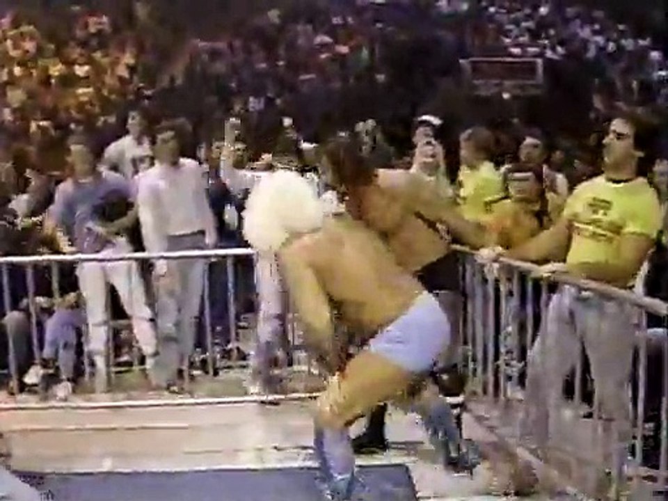 Terry Funk vs. Ric Flair