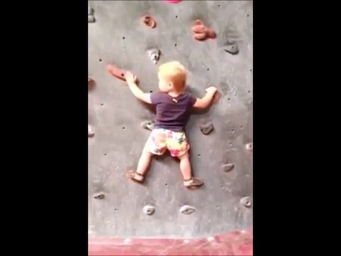 Questa bambina di 18 mesi cammina a malapena, ma ciò che fa sulla parete è sbalorditivo!