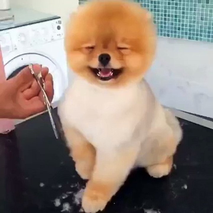 какая милашка