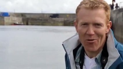 Un delfino va spesso a nuotare in questo piccolo porto per un motivo sorprendente!