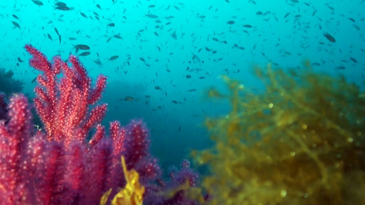 2015-10 au balcon de la vie