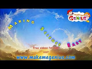 Animal cell Structure and Function