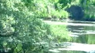 Swamp Tour in Louisiana