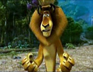 Aby Kitten Playing Bug Fun!