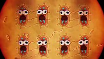 Llega la bacteria | El asombroso mundo de Gumball | Cartoon Network