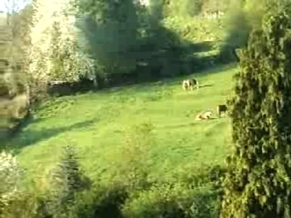 Les matins de Riom-ès-Montagnes