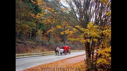 شقق للبيع في تركيا بالتقسيط - مشروع ابانت