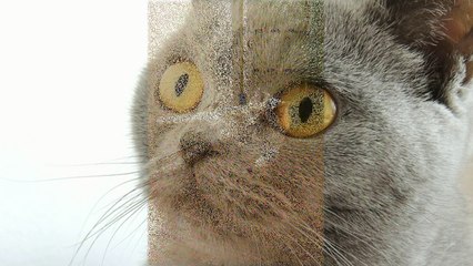 Оторвись По-Полной #Приколы Подборки За Октябрь