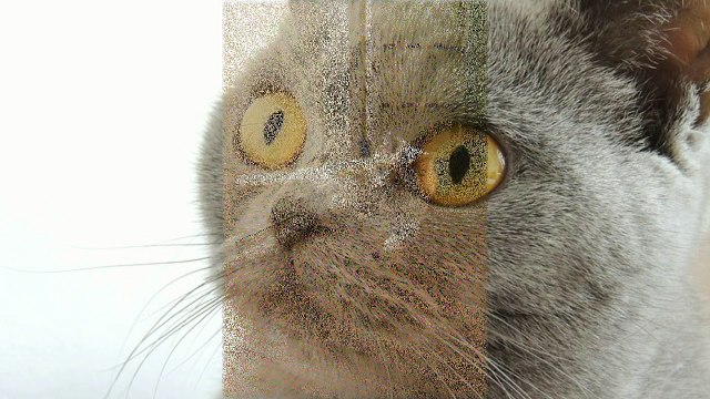 Оторвись По-Полной #Приколы Подборки За Октябрь