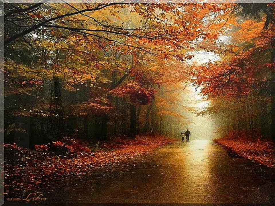 hasretinle yandı gönlüm enstrumental YILDIZ KÖYÜ