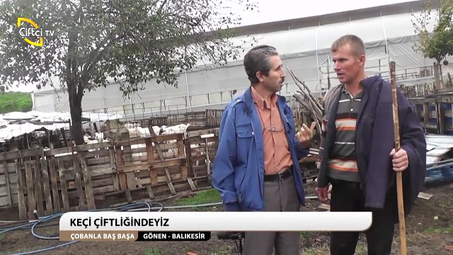 ÇOBANLA BAŞ BAŞA-17-MehmetKurtKeçiÇobanı GÖNEN-BALIKESİR