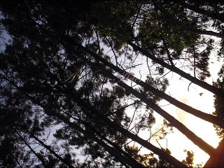 Déborah c'est cette chanson mais visiblement c'est devenu introuvable sur le net "Heather NOVA - Everytime"