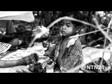 Desplazados, víctimas de la violencia y sin derechos: Guajiros viven en condiciones precarias