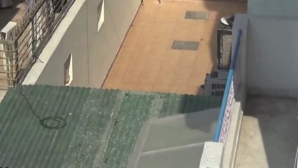 Huge Leopard Runs Amok in Indian Town