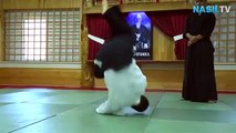 Aikido yapılacak yer seçerken nelere dikkat etmek gerekir