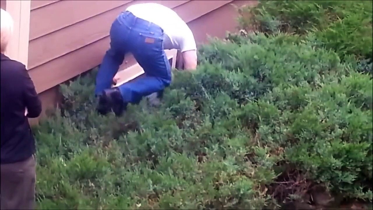 Man Rescues Trapped Fawn And Reunites It With Its Mother
