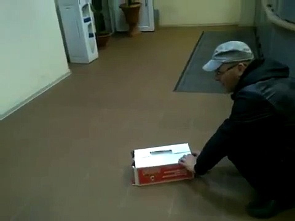 Cómo atrapar fácilmente a tu gato FaceLOCO.com