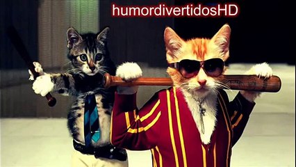 Baile Chica Sexy con Moto Se Cae Muy Divertido HUMOR