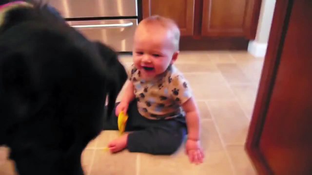 Bebe Se Rie Tanto Del Perro Que Se Cae!! ★ Bebe Divertido Bebe Chistoso Bebe Risa Bebe Tierno Bebe