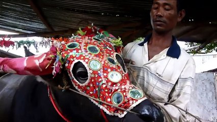 Cambodia celebrates annual festival for the dead