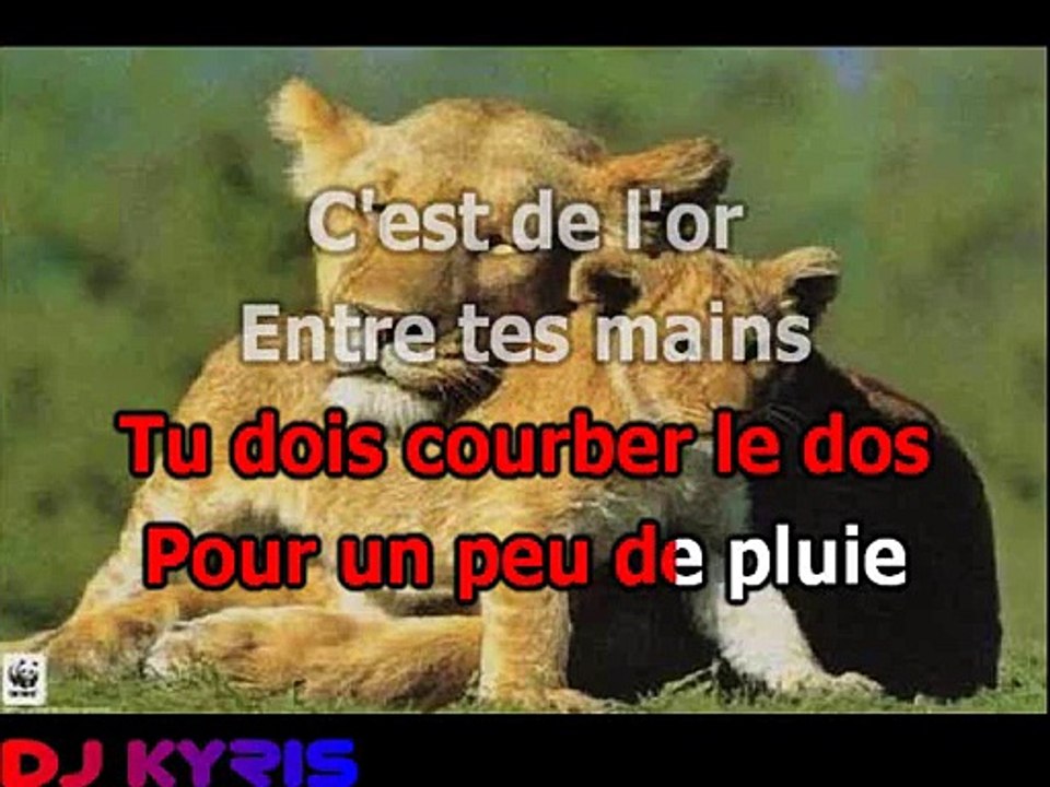 YANNICK NOAH - LES LIONNES