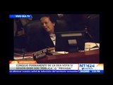 Miembros de la OEA se ríen cuando delegada venezolana dice 