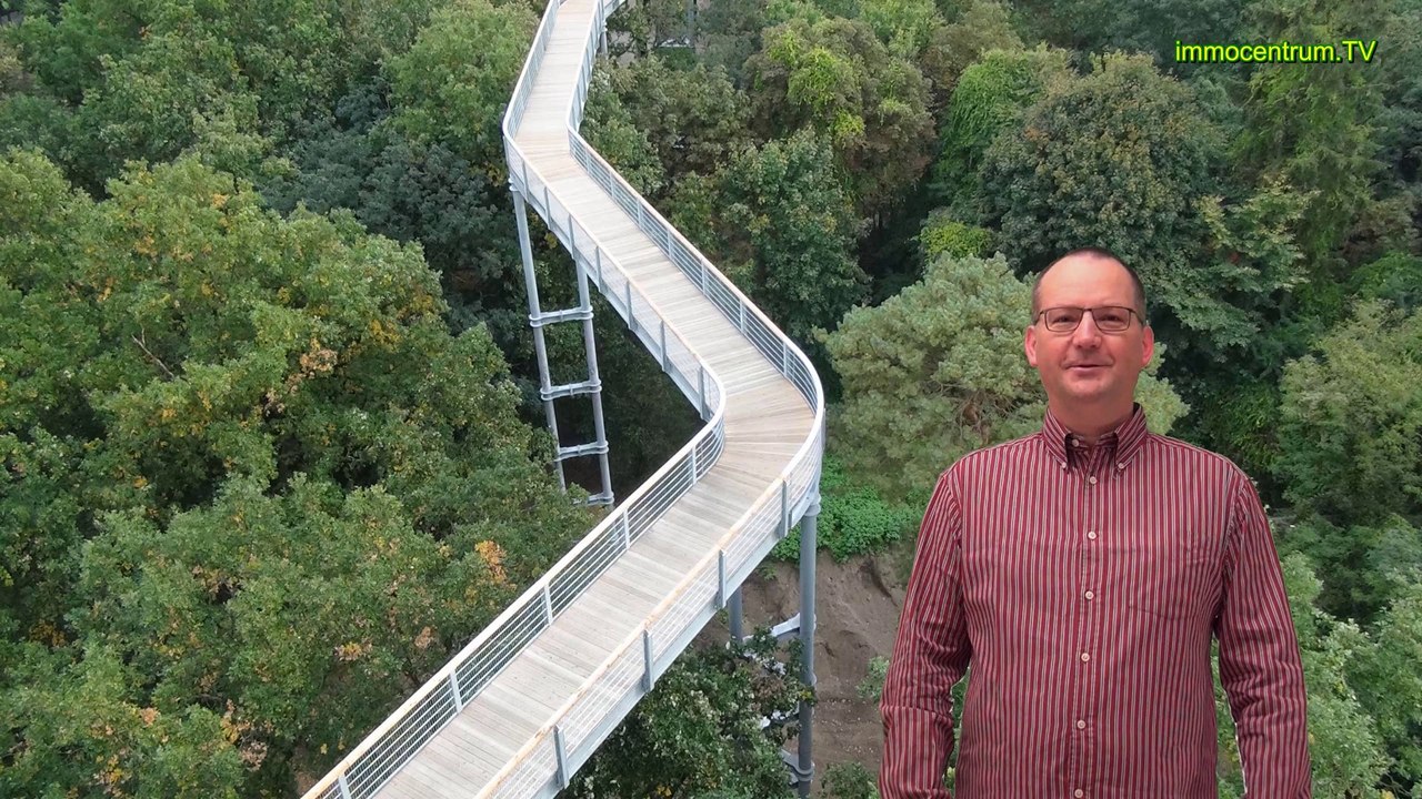 Baumkronenpfad in Beelitz-Heilstätten-Wandeln zw. Bäumen und Ruinen