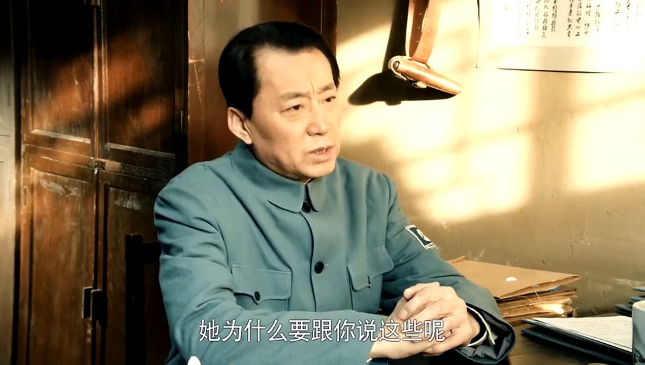 历史永远铭记27【超清720p未删减版】