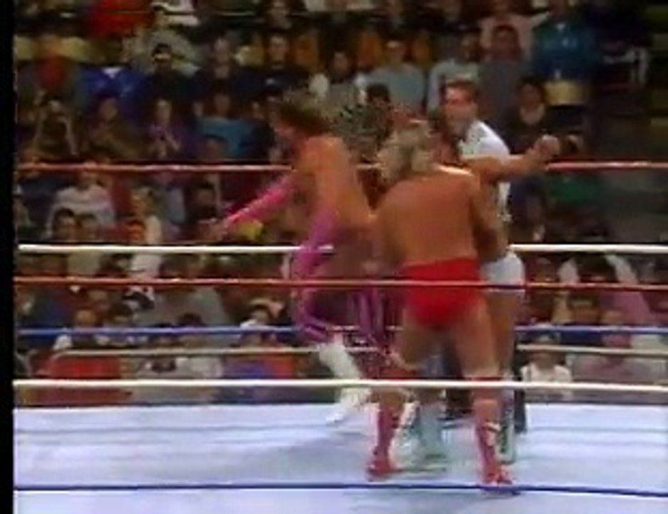 WWF-Survivor-Series-1989-cd1_x264-split-[Part-1]-201510102133099830