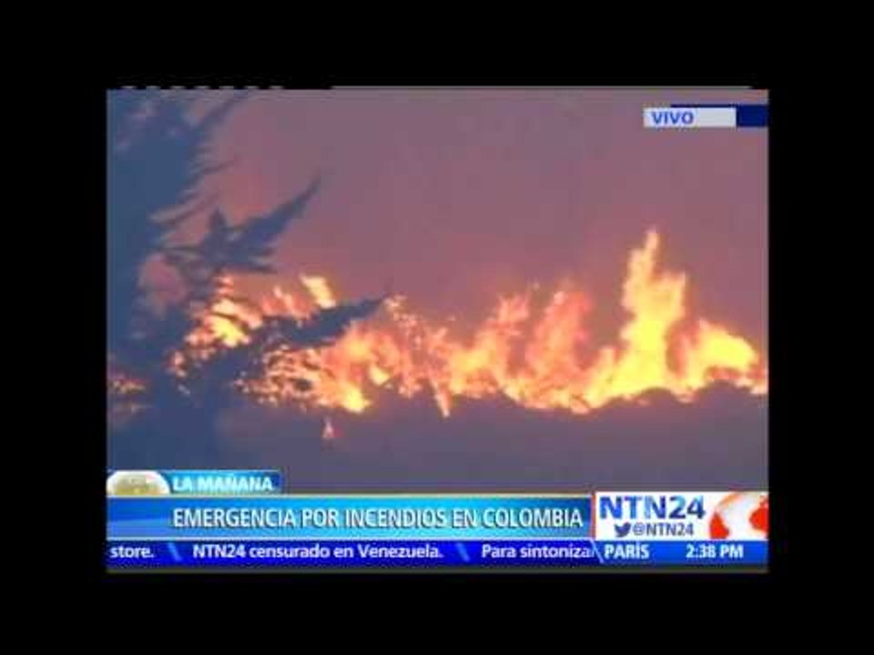 Emergencia por la propagación de incendios forestales en al menos cinco departamentos de Colombia
