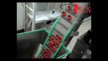 STRPACK Tomato Sauce Filling, Capping Line for 5L bottle