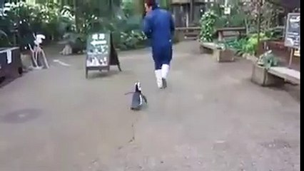 Chạy đi đâu cho thoát