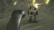 Titanoboa: Monster Snake - Titanoboa Vs. T-Rex