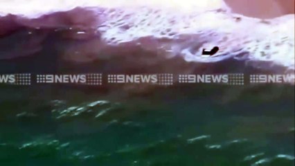 Car drives into the water after trying to escape police on beach