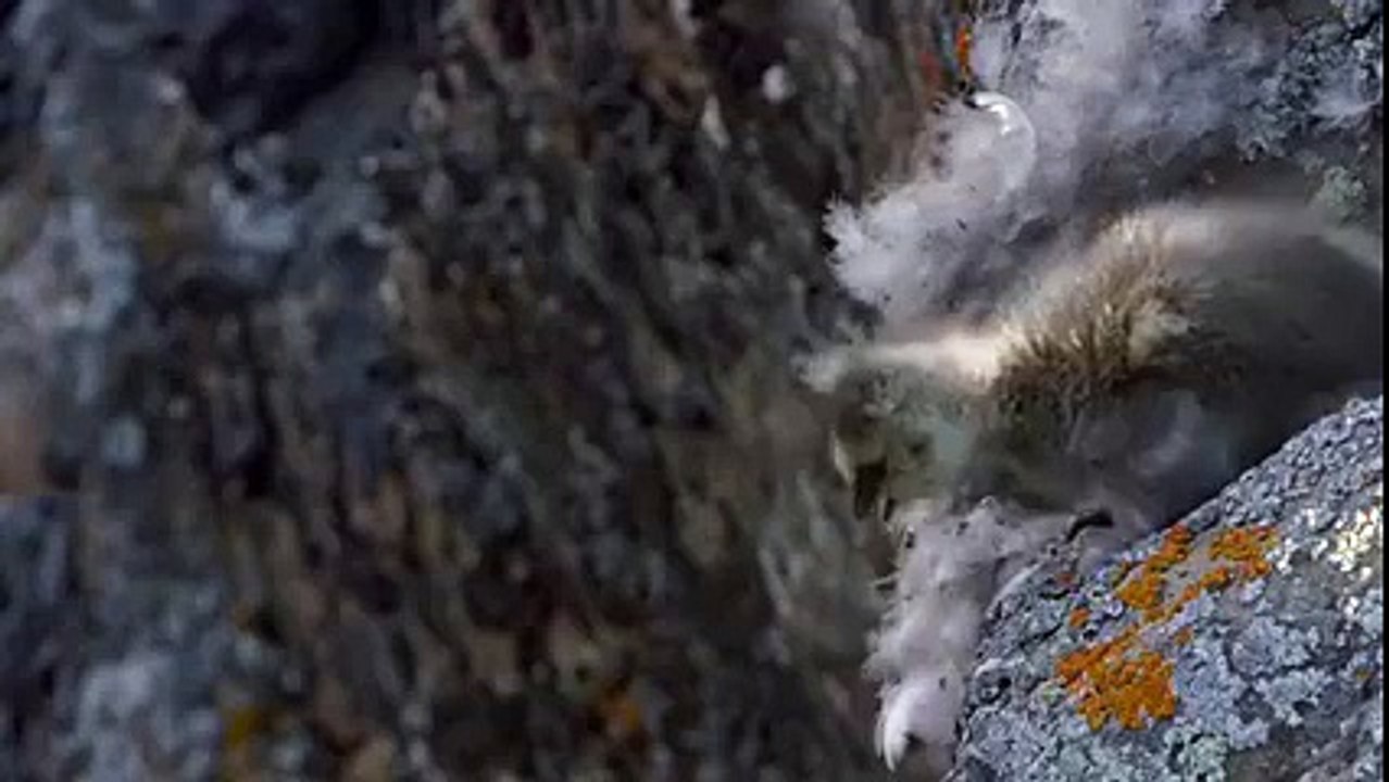 We may not be Able to Prepare the Future for Our children Bu We can at least prepare our Children for the Future.