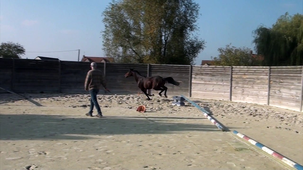Divingmood