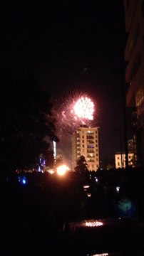 Lille-3000-Parade-(2015-09-26)-Quai-de-Wault-Feux-dartifices