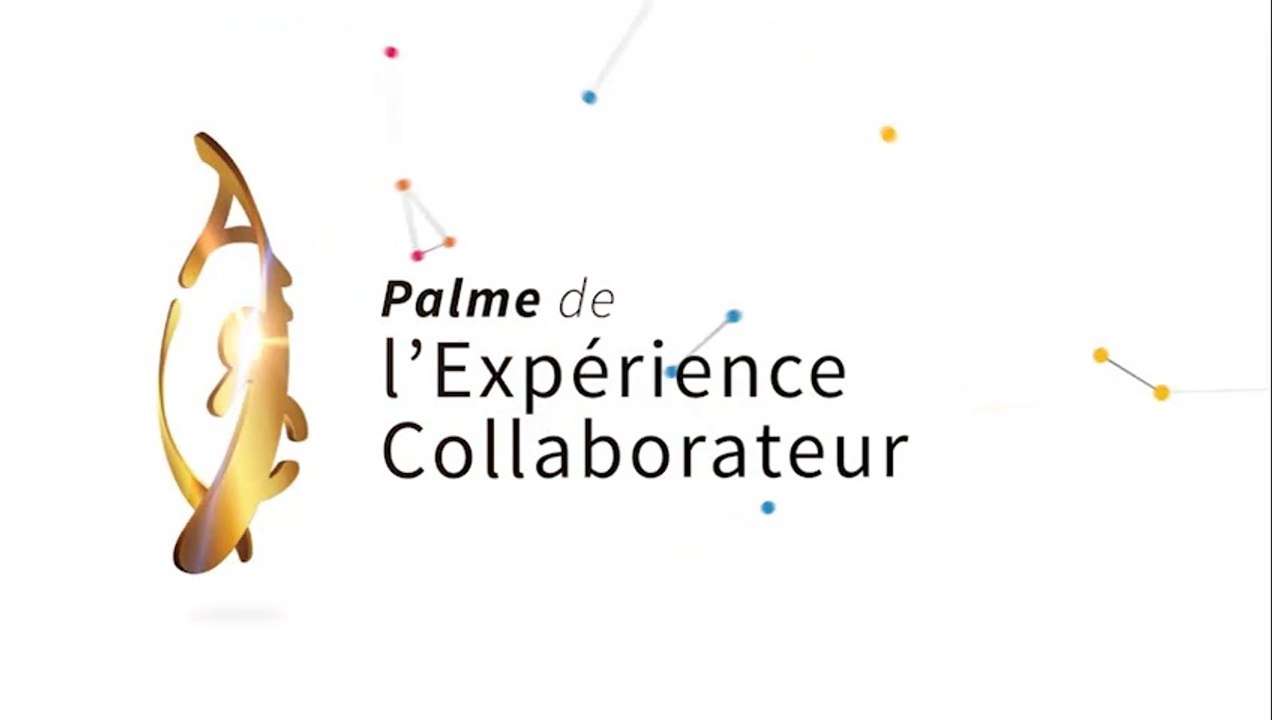 6 - Palmes 2015 AFRC - Experiencecollaborateur