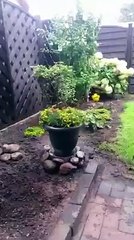 Chérie, où as tu caché mes bières ?