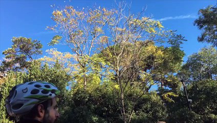 Velotour  2015 Marseille