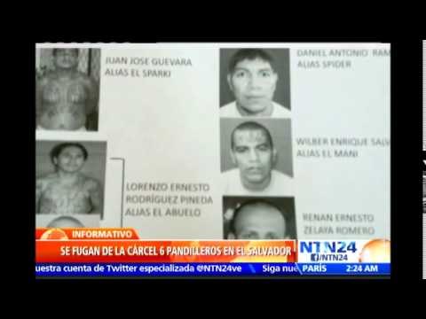 Al menos seis pandilleros se fugan de dependencia policial en El Salvador