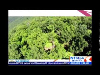 ¿Sabe cuáles son los usos más frecuentes de los Drones?